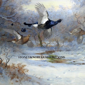 Archibald Thorburn Blackcock & Grouse Winter Forest ~ 2 Cross Stitch Patronen ~ Eén in kleur en één in zwart-witte symbolen ~ Digitale download