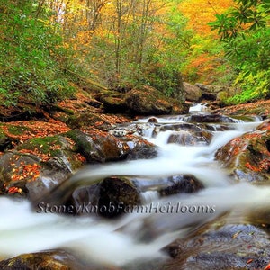 A Wooded Mountain Stream in Autumn~ Nature Landscape ~ DIY 2 Cross Stitch Patterns Color and BlackWhite Symbols ~ Download