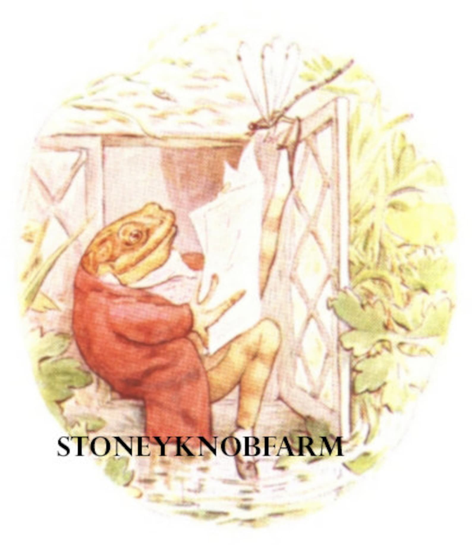 Jeremy Fisher 2 - Beatrix Potter - DIY Cross Stitch Patterns in Color ...