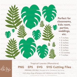 Monstera Tropical Leaves SVG Palm Leaves svg bundle eps png svg Cutting Files Monstera svg Summer SVG Jungle svg 7, 6, 5, 4, 3, 2, 1.5 & 1in