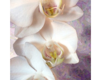 Orchids -Premium Canvas Paper fine art Blank Note cards -Set of 6