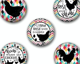 Crazy Chicken Lady Gifts - Chicken Kitchen Decor - Fridge Magnet - Fridge Magnets - Refrigerator Magnet - Refrigerator Magnets