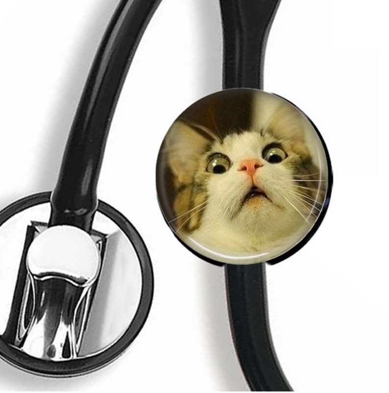 Funny Stethoscope ID Tag Nurse Graduation Gift Medical Etsy