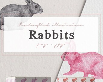 Hand drawn Rabbits Illustrations Clipart