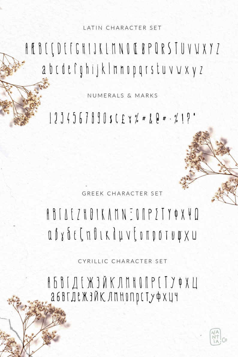 Qualith Font High Quality Fonts Font Purchase Logo Fonts Unique Fonts - Etsy