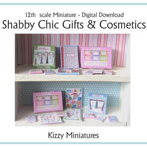 May include: A miniature dollhouse shop display with a pink, blue, and green color scheme. The shop is called "Shabby Chic Gifts & Cosmetics". The shelves are stocked with miniature boxes of cosmetics, lotions, and other items.