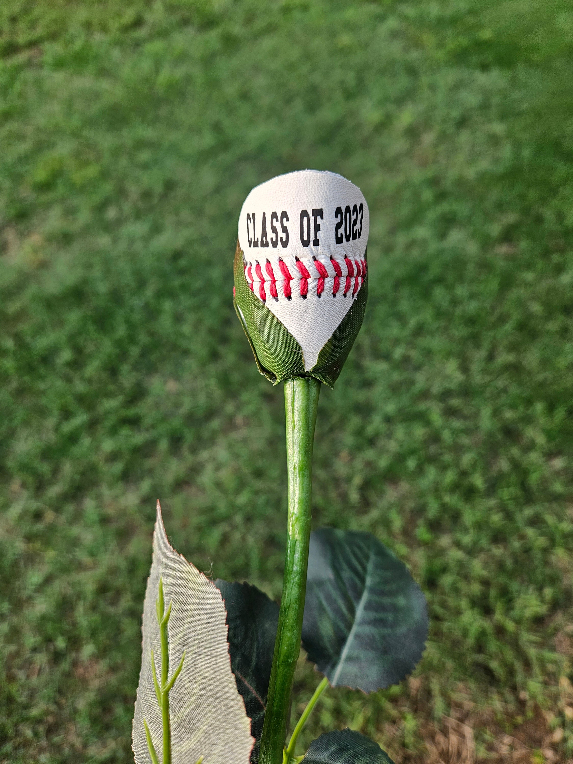 Leather Baseball Long Stem Rose, Customized Sports Gift, Team Award ...