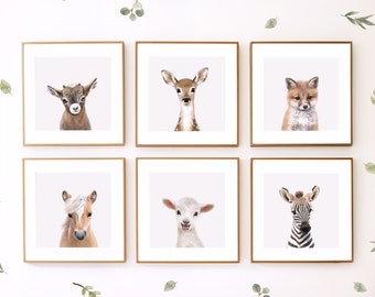 Baby Animal Prints for Nursery ~ Choose your own, ready to ship animal portrait prints