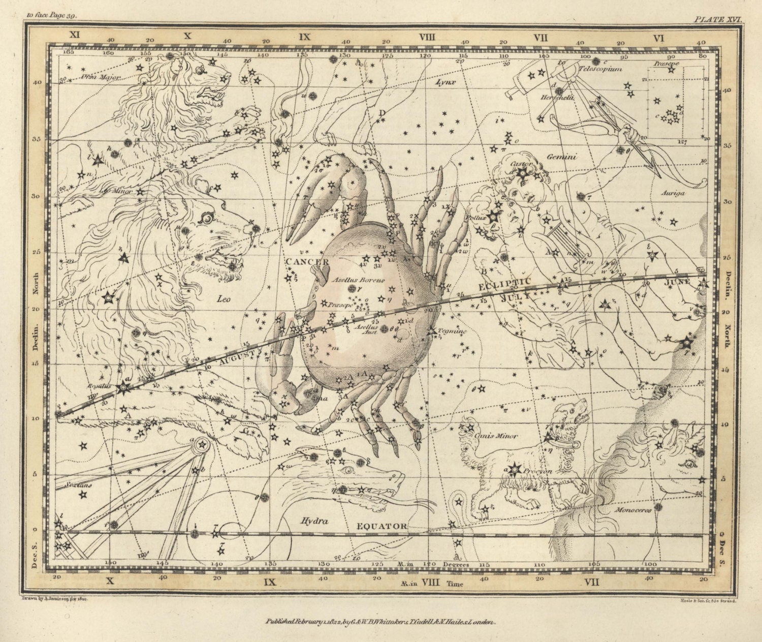 Constell ZODIAC MAP Print Professional Reproduction ANTIQUE Star Map Print