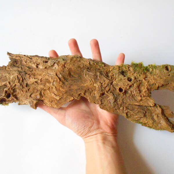 Piastra di Driftwood con Live Moss - unico fiume piatto pezzo di legno - vecchio rustico legno arredamento-alimentazione-spiaggia crafting driftwood bordo di legno di-