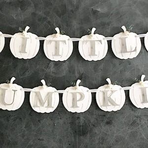 Neutral white floral little pumpkin banner boy fall first birthday gender reveal baby shower autumn decor cake smash elegant Halloween decor