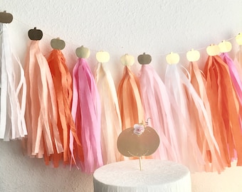 Orange Peach Pink Little pumpkin baby shower tassel garland first birthday party fall baby girl shower - choose your colors!