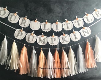 Floral Peach pumpkin banner Fall baby shower decoration autumn first birthday neutral gender reveal baby shower pastel Thanksgiving garland