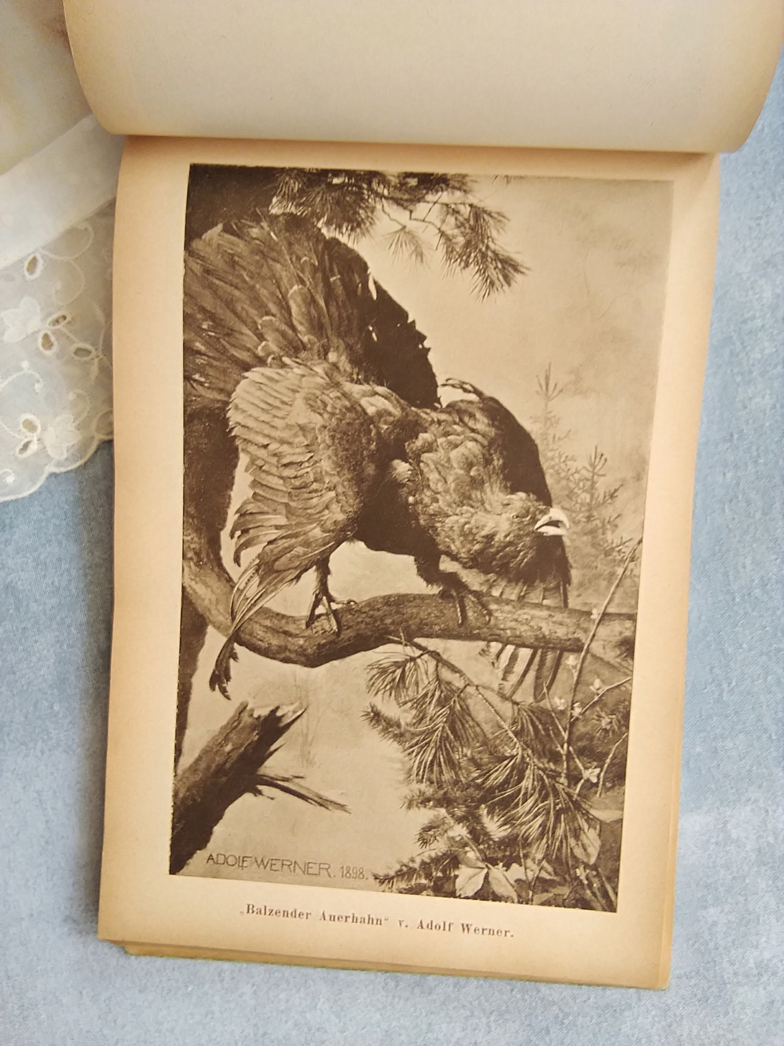 Illustrated Antique Art Book/album cca.1910s' Full of Etsy