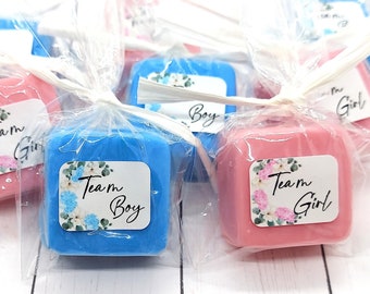 Gender Reveal Party Favors, Mini Soaps, Team Pink, Team Blue, Team Boy, Team Girl, Gender Reveal Baby Shower Favors, Twins, Baby Sprinkle