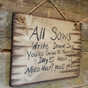 All Sows Write Down Day You&#39;re Going To Frow, Humorvoll, Western, Antik, Holzschild in WEISS