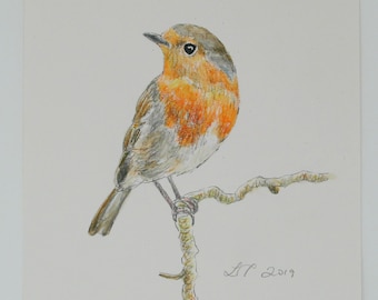 Robin drawing, original art work, wildlife drawing, watercolour drawing..