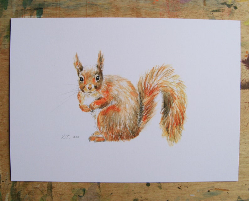 Red Squirrel print, art print, wildlife print, watercolour print. image 3