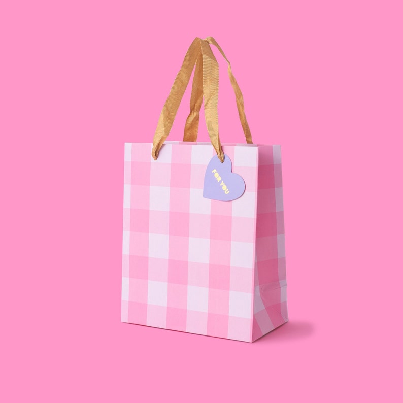 Light Pink Gingham Gift Bags 3 Sizes Gift Wrap for Christmas Tween Gift Party Favor Bag image 3