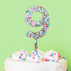 Confetti Acrylic Cake Topper - 9 - Birthday Cake Topper Cupcake Topper 9th Birthday Confetti Birthday Decor