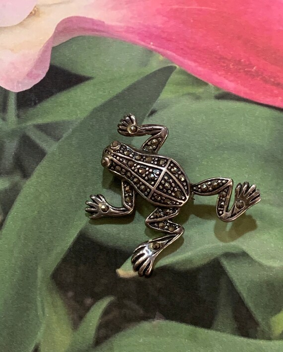 Frog brooch jewelry best sale