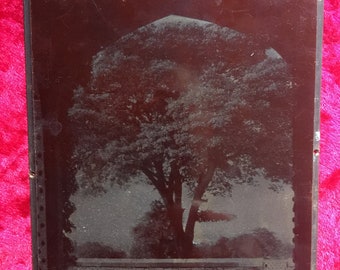 A lovely vintage copper printing press typeset / engraving view of a ancient tree through a arch printing stamp / block.