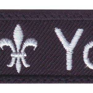 Fleur de Lis gepersonaliseerde geborduurde naamplaatjepatch