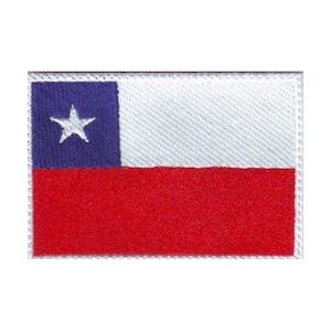 May include: A white patch with a blue rectangle on the left side and a white star in the blue rectangle. The bottom half of the patch is red.