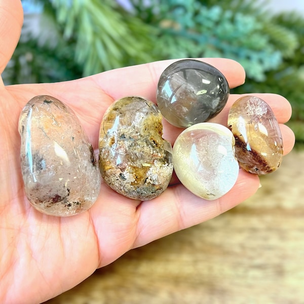 Garden Quartz Crystal Lens - Lodolite Palm Stone Rocks and Minerals - Astral Projection Shaman Tools