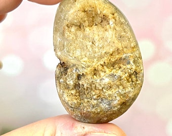Garden Quartz Crystal Lens from Brazil - Natural Lodolite Included Quartz Stone - Medium Tumbled Palm Stone