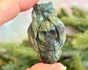 Owl on Skull Labradorite Crystal Carved Cabochon