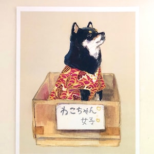 Poster Shiba inu dans une boîte 30 x 40 cm - poster d&#39;art shiba inu-estampes shiba inu-poster shiba inu-kawaii-poster chien-kimono-chien-koi-cadeau-chiens-doré