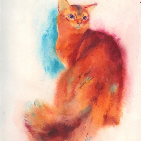 Purpurrote und Kobalt-türkisfarbene Katze