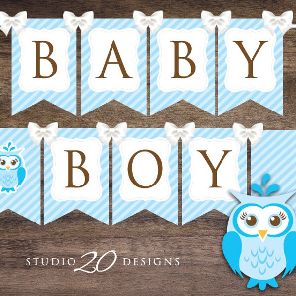 Instant Download Blue Owl Baby Shower Banner, Blue Brown Baby Boy Bunting Banner, Printable Bunting Flags, Baby Owl Pennant Banner 23F