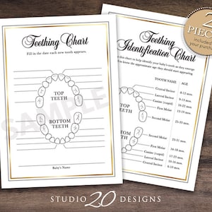 Grafiek voor doorkomende tandjes, 5 x 7 grafiek doorbraak baby, tandjesrecord, babytand tracker, Instant Download 20A