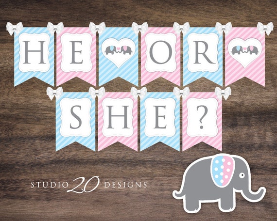 Download Instant Download Gender Reveal Elephant Baby Shower Banner ...