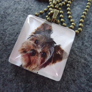 Yorkshire Terrier Dog Necklace