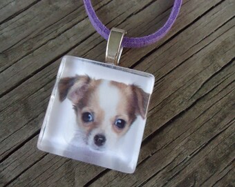 Chihuahua Pendant Necklace