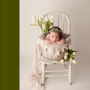 May include: A newborn baby girl sleeping in a white wicker basket, decorated with lace, on a white wooden chair. White tulips are in the background.
