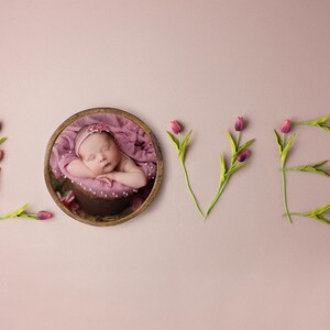 Love Digital Backdrop, Mother’s Day photography digital background,pink tulips , PSD file