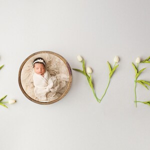 Love newborn digital Backdrop, Mother’s Day photography digital background, PSD file