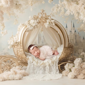 Set of 3 Princess Carriage Newborn Digital Backdrop, magic castle, fairy tale digital,