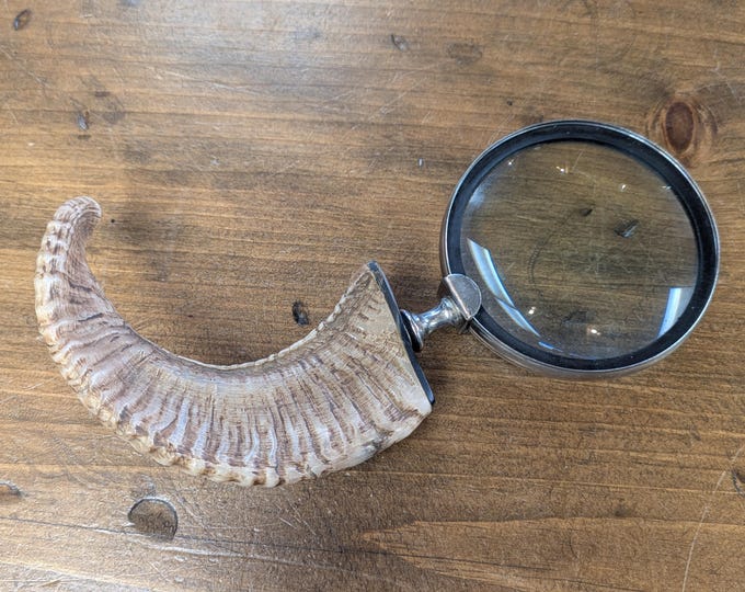 Rams horn magnifying glass