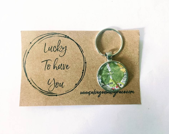 Genuine lucky four-leaf clover keychain, , Good luck charm, perfect gift