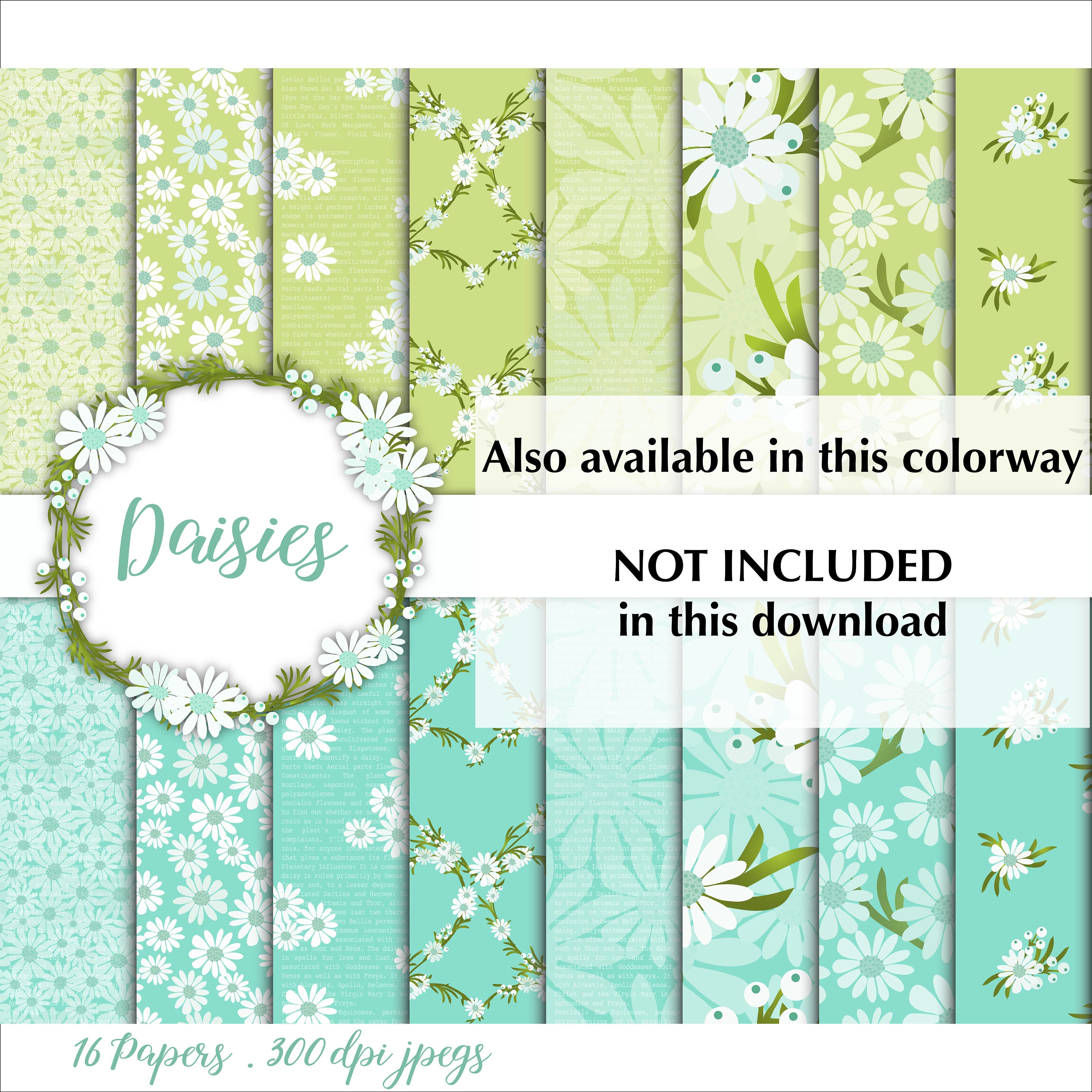 Daisy Digital Paper Pack: Floral Scrapbook Papers (digital Download) - Etsy