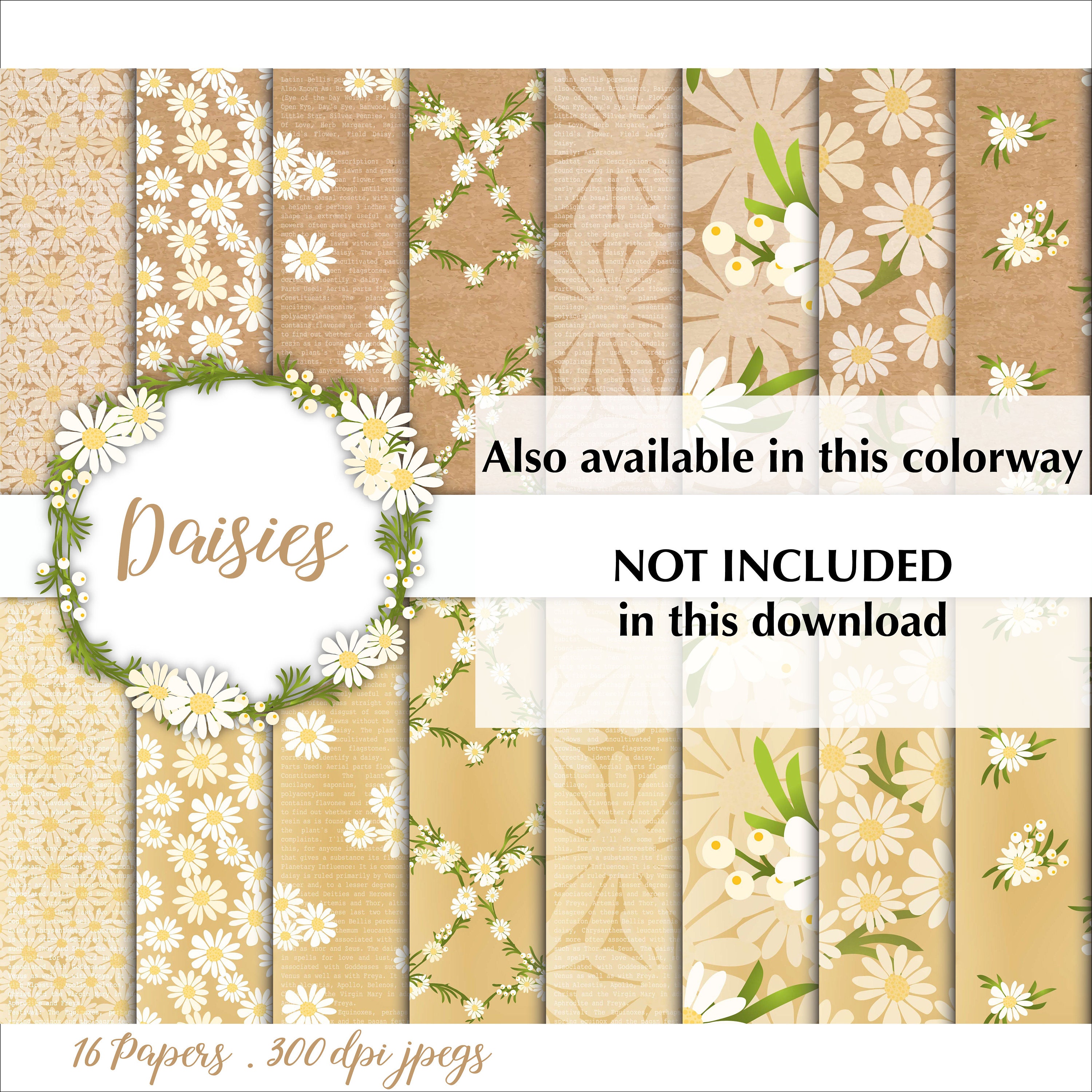 Daisy Digital Paper Pack: Floral Scrapbook Papers (digital Download) - Etsy