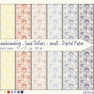 Beachcombing - Sand Dollar Pattern - Digital Papers JPG, Printable, Instant Download