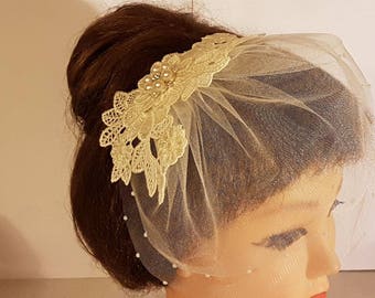 Bridal veil, birdcage veil, Headpiece, Flower applique Blusher, Wedding Hair Accessory, Bridal  2Tier Tulle Mini veil, Sparkly Head Piece