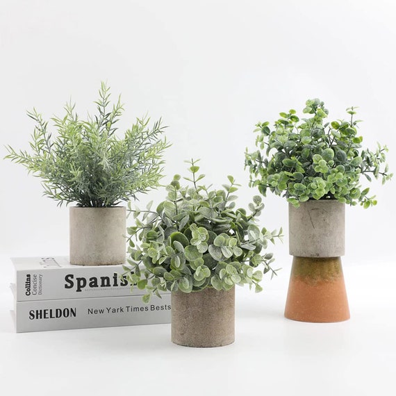 Set of 3 Mini Potted Artificial Plants Small Fake Plants Artificial Potted Plants  Artificial Eucalyptus Plants Faux Rosemary Plant 