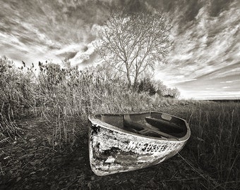 Abandonné: Noir et blanc, Vieux bateau à rames, Météo battu, Paysage marin, Bord d’eau, Ligne de flottaison, Algues